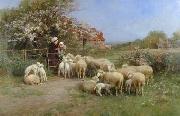 unknow artist, Sheep 138